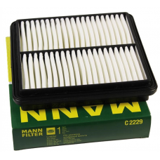 MANN C2229