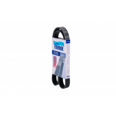 FINWHALE Ремінь  генератора 