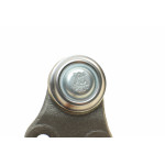 Опора кульова (передня/знизу) Ford Focus II 1.4-2.0TDCi 04-12/C-Max 07-10/Volvo C30/C70/S40 04-