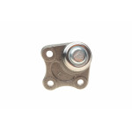 Опора кульова (передня/знизу/L) Audi A3 -93/VW Golf IV -06