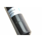 Амортизатор (задній) BMW 5 (E39) 95-03 (тиск газу) (B4)