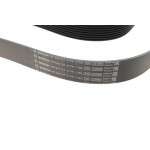 Ремінь генератора BMW 5 (F10/F11)/X3 (F25) 2.5/3.0i 09-13 (N52/N53) (8PK1786)