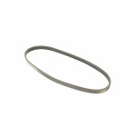 Ремінь генератора Fiat Ducato 1.9D/TD 94-02 (4PK755)