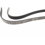 Ремінь генератора Renault Scenic 1.9 dCi 99-03 (6PK1600)