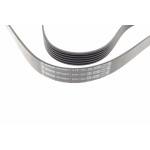 Ремінь генератора Peugeot Bipper/Expert/Partner 1.4/1.6HDI 07-/Ford Focus/Mondeo 2.0 18- (6PK1352)