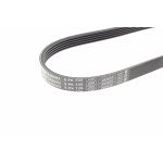 Ремінь генератора Land Rover Freelander 1.8 16V 4x4 00-06 (5PK735)