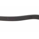 Ремінь генератора Renault Megane/Scenic 1.4 09-/Honda Accord/CR-V 2.2 i-CTDi 04- (7PK1785)