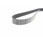 Ремень генератора Land Rover Discovery/Range Rover 2.5 Td5/3.9-4.6 93-04 (7PK1870)