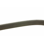 Ремінь генератора MB Sprinter OM611 (-AC) (6PK2203)