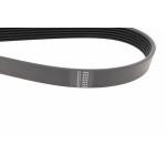 Ремінь генератора VW T4 2.4D/2.5TDI 90-03/Ford Fiesta 1.25-1.6 95-02 (6PK1767)