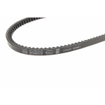 Ремінь генератора VW LT 2.4D/TD -96 (10x813)