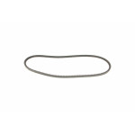 Ремінь генератора VW T4 1.9D/TD 90-96 (10x975)