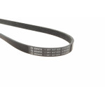 Ремінь генератора Renault Kangoo 1.2i 97-/Subaru Impreza 2.0 05-07/Nissan Pathfinder 4.0 05- (5PK875)