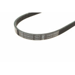 Ремінь генератора поліклиновий Hyundai Accent 1.3-1.6 94-11/ Toyota Carina/ Corolla 1.6-2.0 93-01 (4PK850)