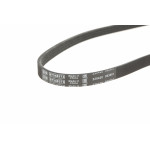 Ремінь генератора Citroen Berlingo/Peugeot Partner 1.1/1.4/1.6 96- (4PK855)