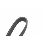 Ремінь генератора Renault Master/Opel Movano/Renault Kangoo 1.9dCi/dTi 98-/Trafic 2.0 06- (6PK1125)