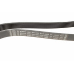 Ремінь генератора Fiat Scudo/Citroen Berlingo/VW Golf IV 1.8/1.9TDI 97- (6PK1660)