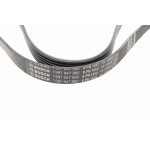 Ремінь генератора Ford Connect 1.8TDCI (6PK1413)