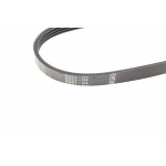 Ремінь генератора Fiat Doblo 1.2-1.4 (4PK668)