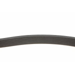 Ремінь генератора Fiat Scudo/Citroen Berlingo 1.9D/TD 96- (PS,-AC) (6PK1110)