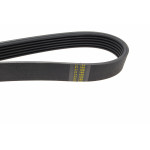 Ремінь генератора Fiat Doblo 1.3D Multijet/1.3JTD/Ford Focus 1.8/2.0 04- (6PK1306)