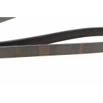 Ремінь генератора Citroen Berlingo/Jumpy/Fiat Scudo/Peugeot Partner 1.9D 98-/Hyundai Accent 02-05