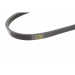 Ремінь генератора Renault Kangoo/Clio II 1.2 01-/Dacia Logan/Sandero 1.2 16V 06- (3PK750)