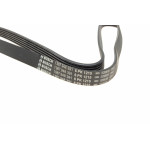 Ремінь генератора Peugeot Expert/Citroen Jumpy 2.0HDi 07-/Ford Focus/Kuga 2.0TDCi 04-12 (6PK1215)