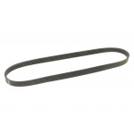 Ремінь генератора Fiat Tempra 1.9TD 90-96 (5PK900)