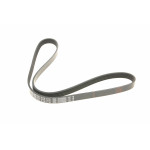 Ремінь генератора Renault Kangoo 1.5 dCi (5PK1135)