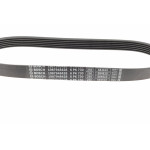 Ремінь генератора Citroen Berlingo/Fiat Ducato/Peugeot Boxer/Expert 1.9 D/TD 96-03 (6PK730)