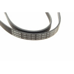 Ремінь генератора Hyundai Tucson 15-/i20/i30/i40/Accent/Kia Ceed/Rio 05-/Sportage 10- (5PK1815)