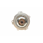 Помпа води Audi A4/A6/Skoda Felicia/VW Golf/Caddy/Passat/Polo 1.9D/TDI/SDI 95- (R/B)(6лоп)