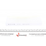 Фільтр салону Nissan Maxima 95-03