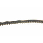 Ремінь генератора VW T4 1.9D/TDI (PS) (11.9x650)