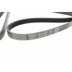 Ремінь генератора Ford Transit 2.5D -94