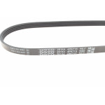 Ремінь генератора Renault Logan/Sandero 1.4-1.6 07-