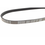 Ремінь генератора Renault Kangoo 1.6i 08-