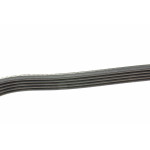 Ремінь генератора Renault Trafic 1.9dCi 01- (-AC)