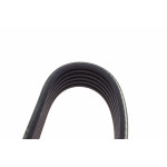 Ремінь генератора VW Golf III/Passat/T4 1.9D/TD (TP)