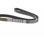 Ремінь генератора Renault Master/Opel Movano/Renault Kangoo 1.9dCi/dTi 98-/Trafic 2.0 06-