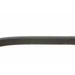 Ремінь генератора VW Caddy/T5 1.9TDI