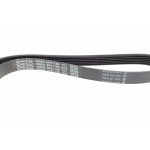 Ремінь генератора Citroen Jumper/Fiat Ducato/Peugeot Boxer 2.0/2.2HDi/JTD 02-