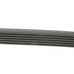 Ремінь генератора Peugeot Expert/Citroen Jumpy 2.0HDi 07-