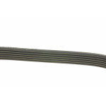 Ремінь генератора VW T4/Citroen Bipper 1.4HDI/2.4D/2.5 96-