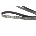 Ремінь генератора Citroen Berlingo/Fiat Scudo/Peugeot Partner 1.9D 98-