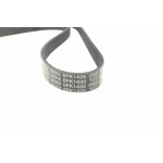 Ремінь генератора Ford Transit 2.5Di/TD 92-00 (PS,AC)