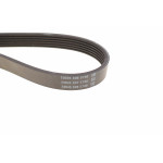 Ремінь генератора Fiat Ducato 2.0JTD 01- (ALT, AC)