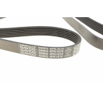 Ремінь генератора Fiat Ducato 2.2/Ford Transit 2.2 06- (+AC)