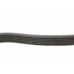 Ремінь генератора Citroen Jumper 1.9TD 94-02 (ALT,PS,AC)